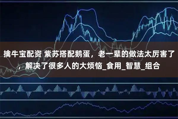 擒牛宝配资 紫苏搭配鹅蛋，老一辈的做法太厉害了，解决了很多人的大烦恼_食用_智慧_组合